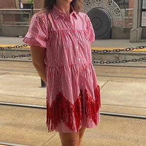 Adorable dress perfect for the Eras Tour